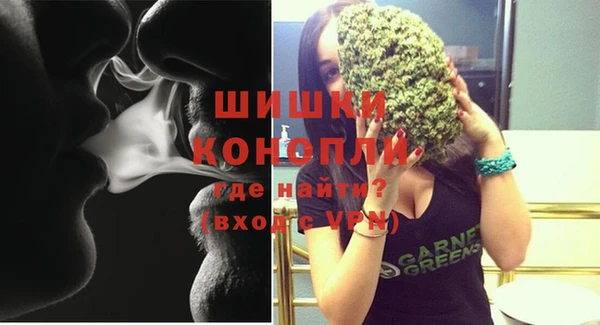 ГАЛЛЮЦИНОГЕННЫЕ ГРИБЫ Белокуриха