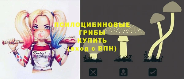 ГАЛЛЮЦИНОГЕННЫЕ ГРИБЫ Белокуриха