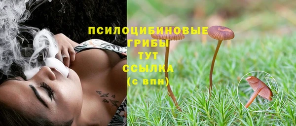 соль курить ск Новозыбков