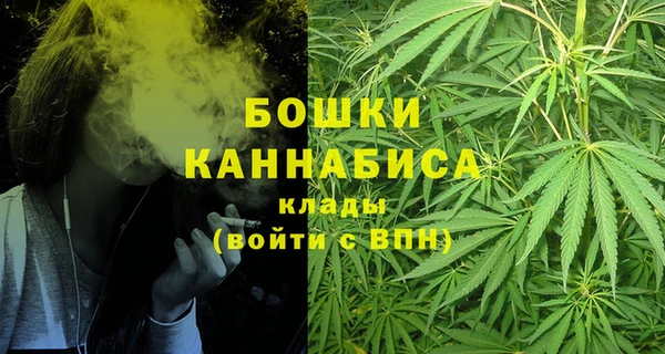 ГАЛЛЮЦИНОГЕННЫЕ ГРИБЫ Белокуриха