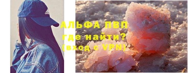 ГАЛЛЮЦИНОГЕННЫЕ ГРИБЫ Белокуриха