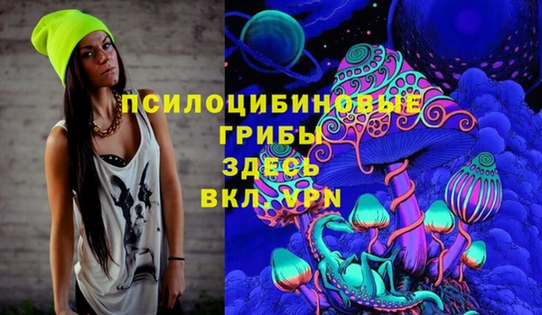 ГАЛЛЮЦИНОГЕННЫЕ ГРИБЫ Белокуриха