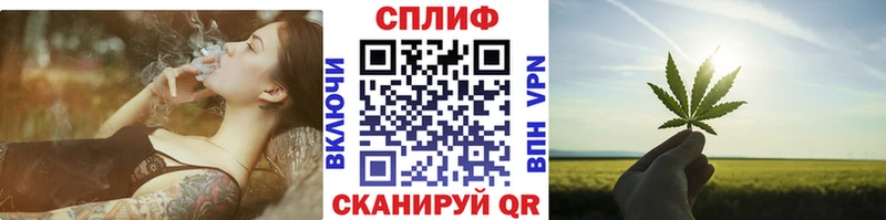 Марихуана сатива мега tor Биробиджан